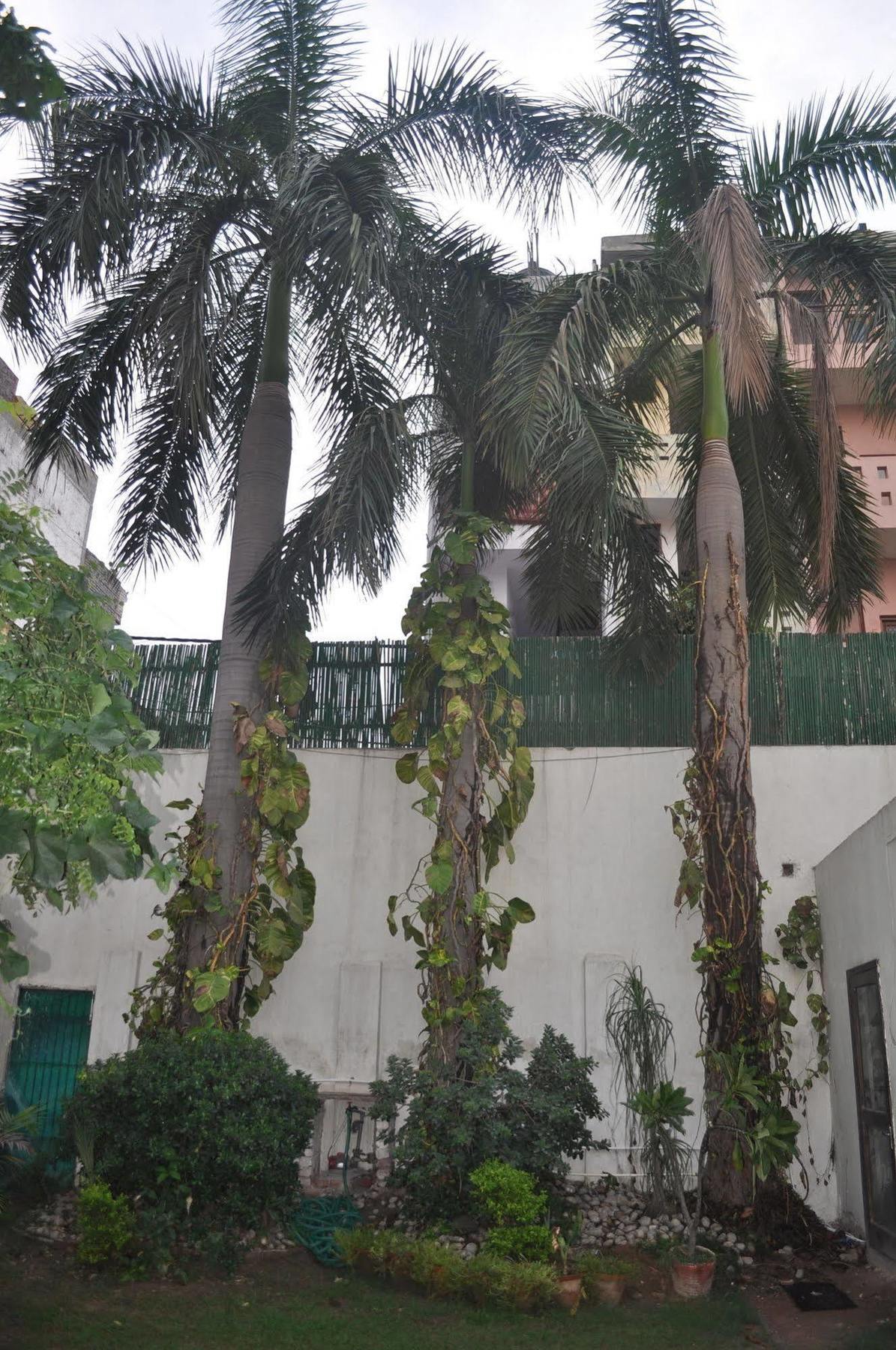 Hotel Kabli Neu-Delhi Exterior foto